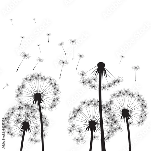 Dandelions and Wind. Vector Illustration.