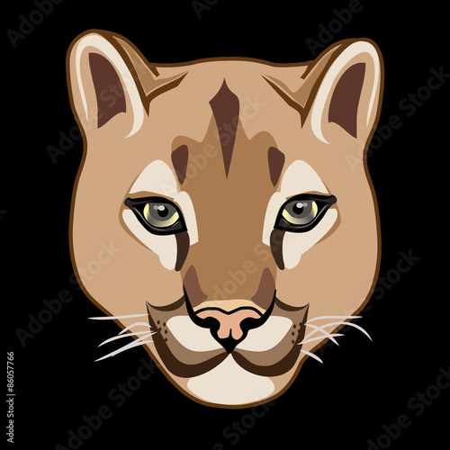 WILD CAT, COUGAR illustration  vector