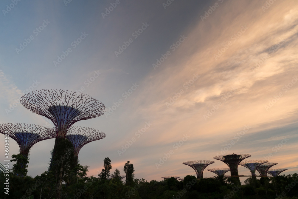 Fototapeta premium SINGAPORE - JAN 15: Gardens by the Bay at dusk on JAN 15, 2015 in Singapore. Gardens by the Bay was crowned World Building of the Year at the World Architecture Festival 2012