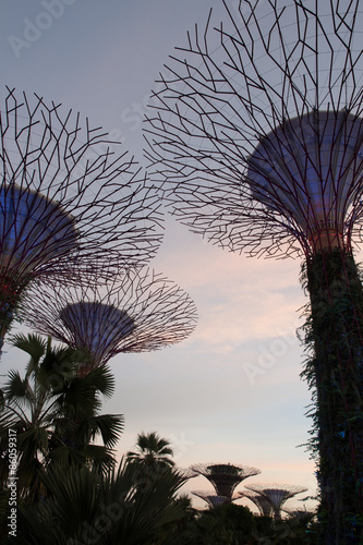 SINGAPORE - JAN 15  Gardens by the Bay at dusk on JAN 15  2015 in Singapore. Gardens by the Bay was crowned World Building of the Year at the World Architecture Festival 2012