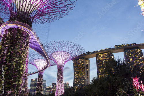 The Supertree at Gardens by the Bay 
