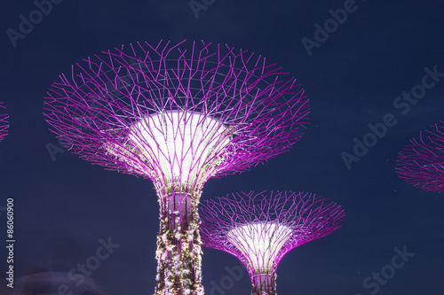 The Supertree at Gardens by the Bay 