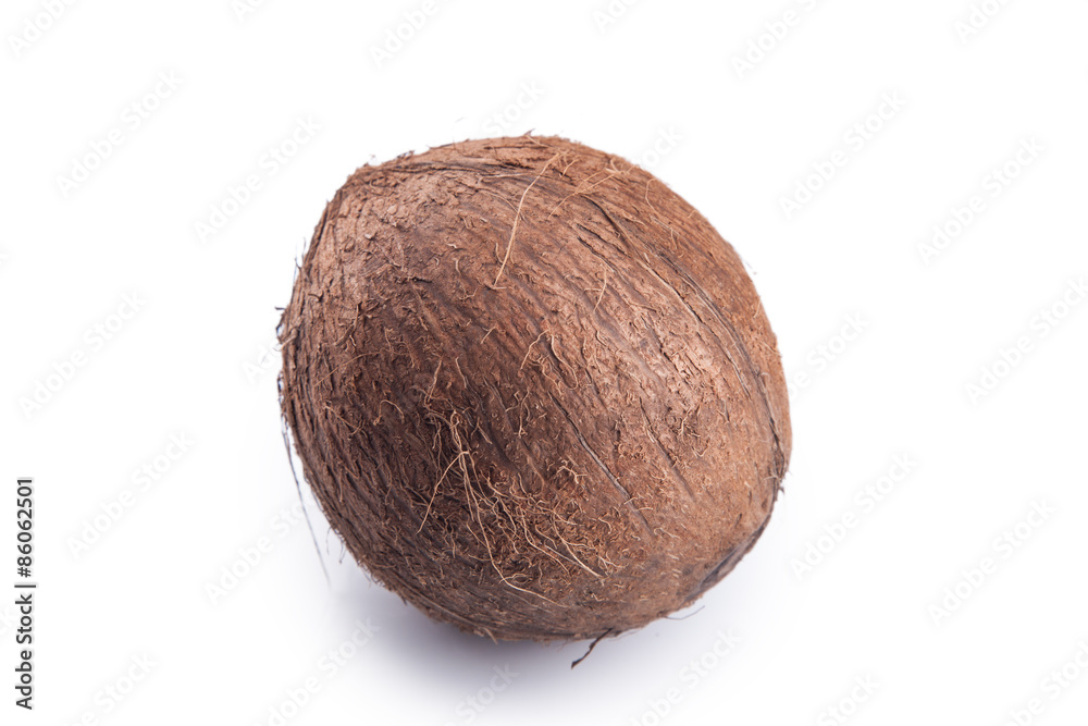 Coconut isolated on white Coconut isolated on white