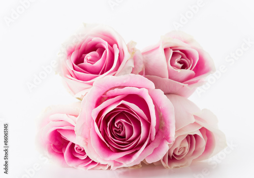 Fototapeta Naklejka Na Ścianę i Meble -  white and pink rose bouquet on white background