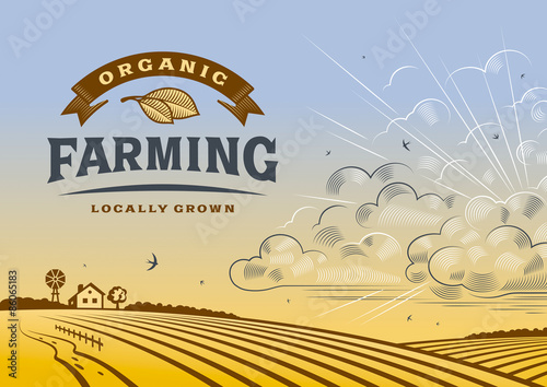 Organic Farming Landscape