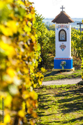 God's torture with vineyard near Nechory, Czech Republic photo