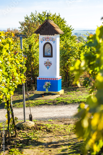 God's torture with vineyard near Nechory, Czech Republic photo