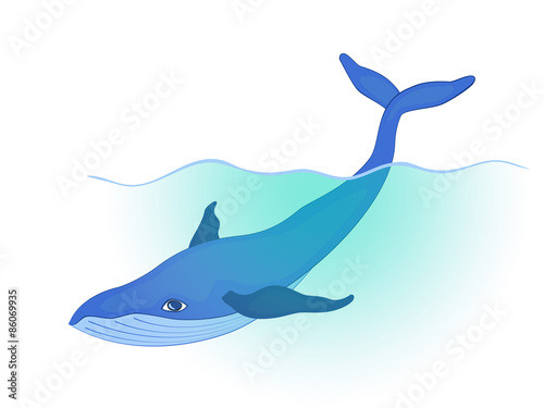 blue whale