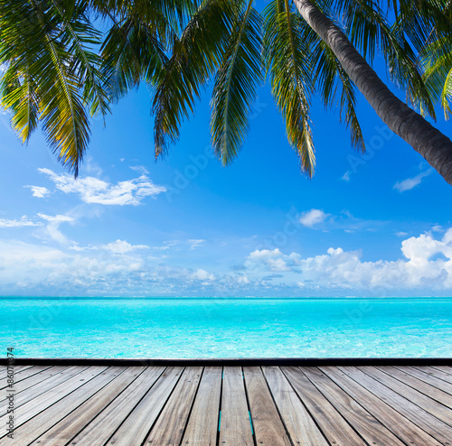 ocean, palm, background paradise on the Caribbean Bahamas Maldivian Hawaiian beaches