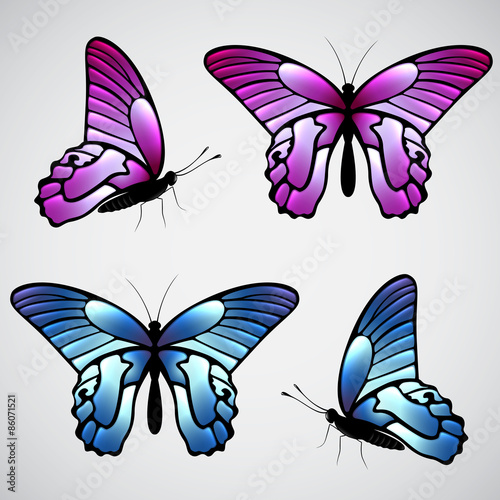 Vector colorful butterflies