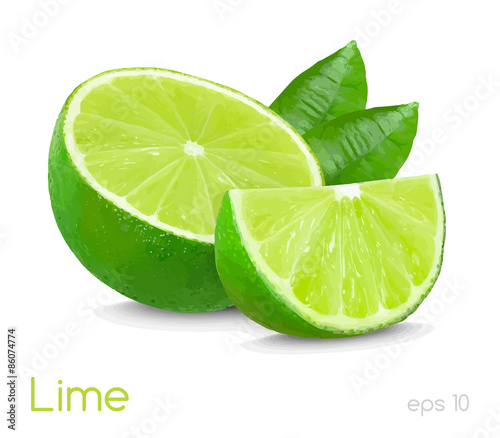 lime slice illustration isolated on white background