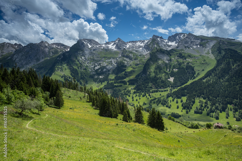 alpine landscape in French alps
