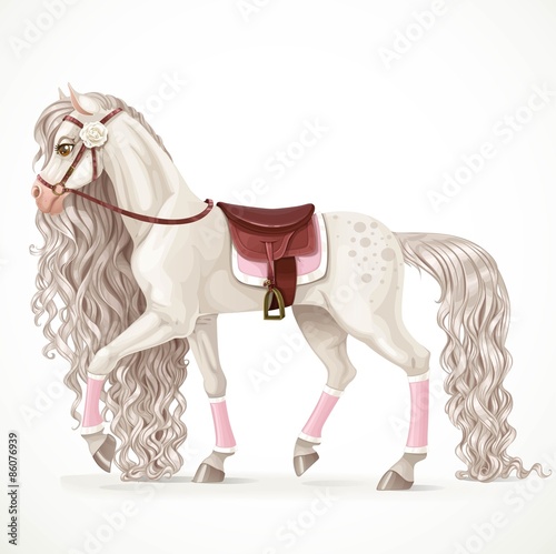 Beautiful white horse with a long mane and saddle blanket isolat