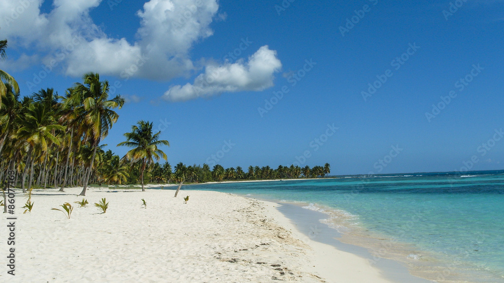 Beautiful white sand beach on the island of Saona Beautiful white sand beach on the island of Saona