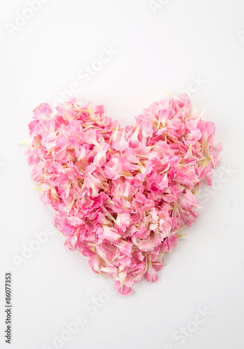 pink heart shape by carnations petal