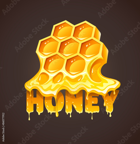 Honey in honeycombs. Eps10 vector illustration.