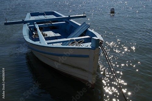 Blue and white tall wooden fishing boat anchored with rope, buoy in background photo