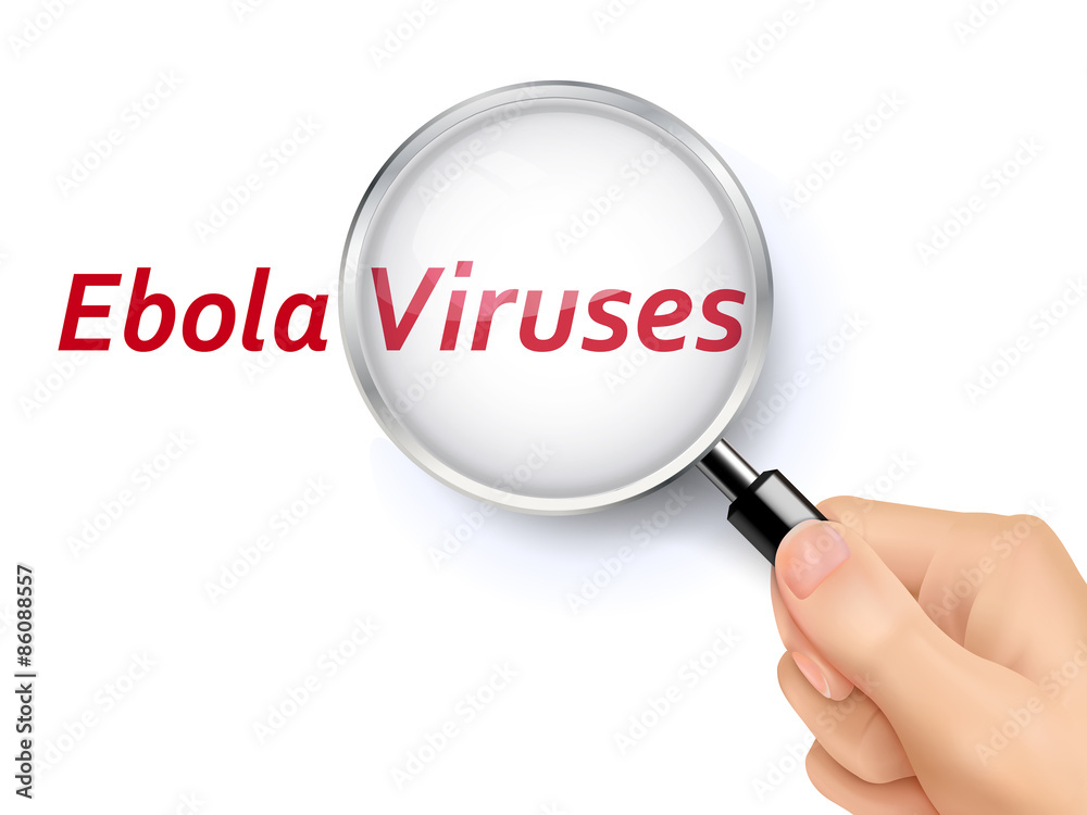 Ebola viruses word showing through magnifying glass Ebola viruses word showing through magnifying glass