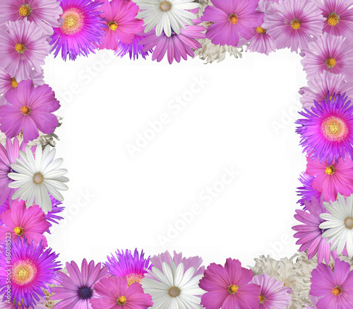 Flower Background