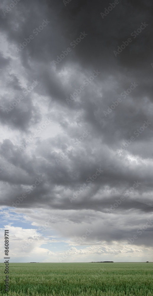Storm's a Coming Storm's a Coming