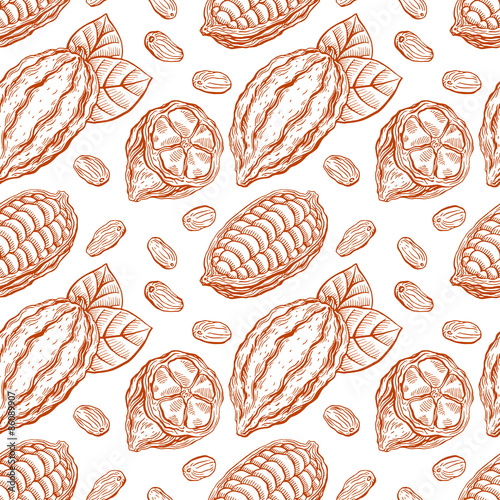 seamless sketch cacao beans