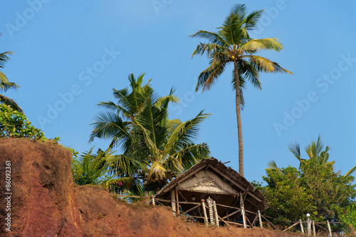 Tropical summer hut and palm trees on a clifftop