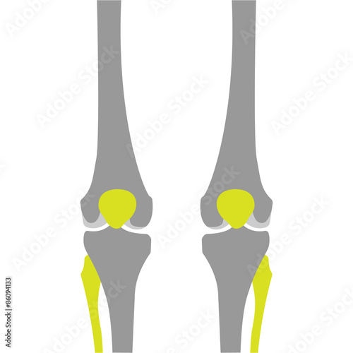 Flat Icon of Knee on White Background