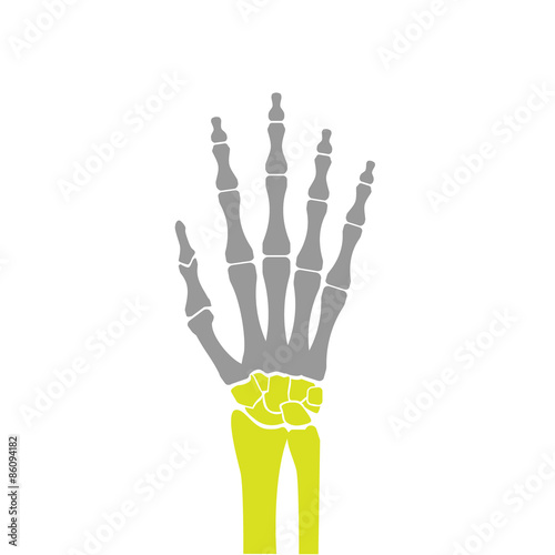 Flat Icon of Hand Bones on White Background