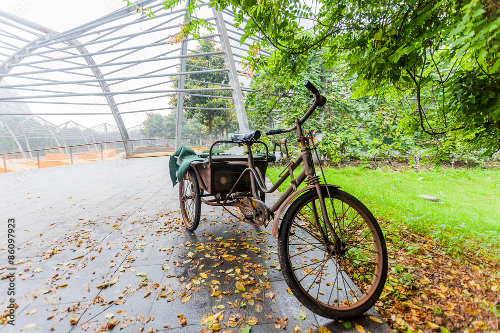 Fototapeta premium Fahrrad