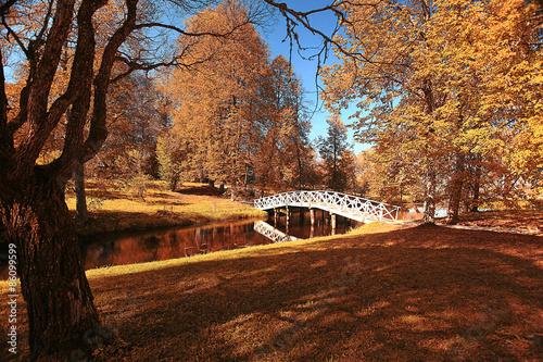 autumn landscape in Holland Park