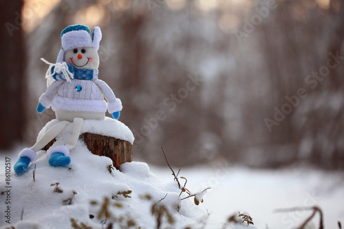 Christmas toy snowman landscape deer New Year photo