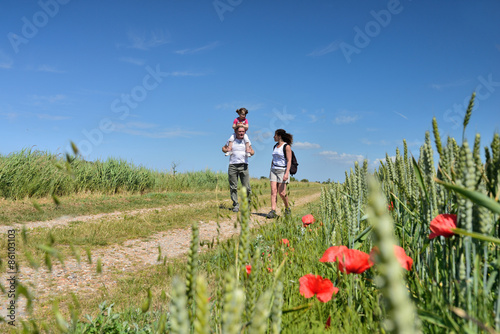 Billede på lærred promenade en famille