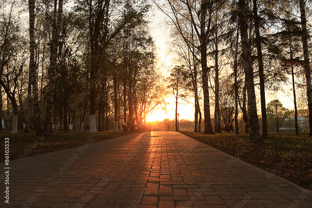 Obraz premium landscape Forest Indian Summer vacation
