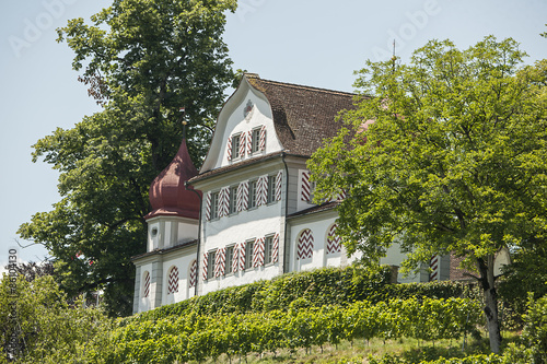 Landenberg ob Sarnen, Obwalden, Schweiz photo