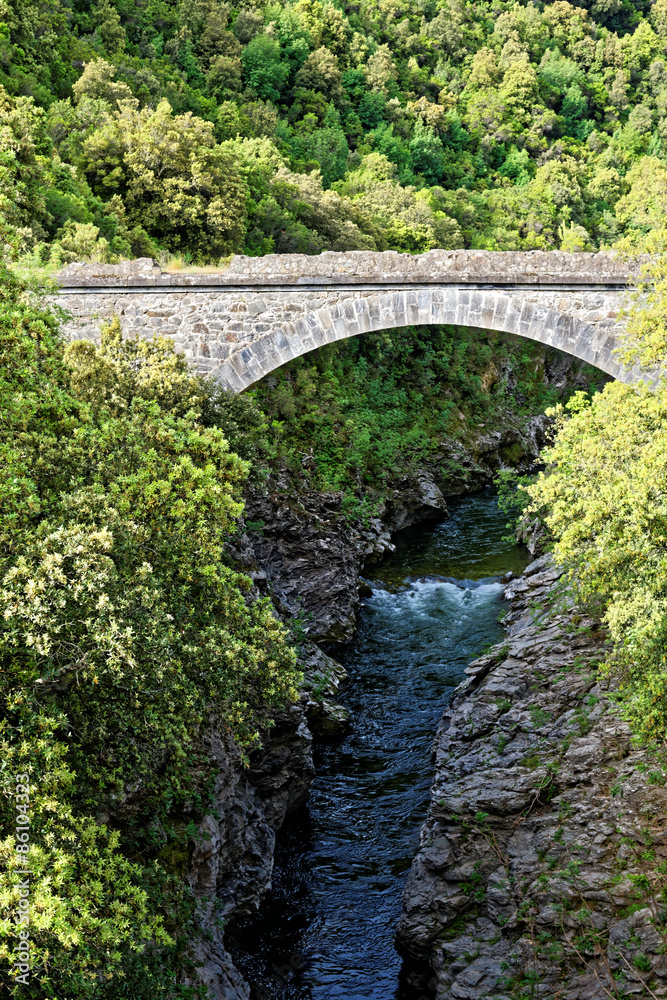 Korsika, der Fluss Golo mit alter Brücke