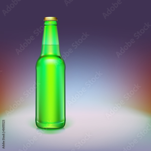 Beer bottle isolated on background.