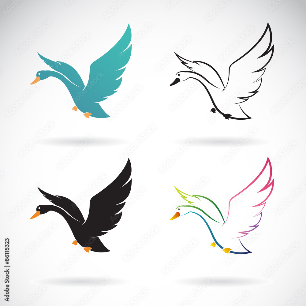 Obraz premium Vector images of swan design on a white background.