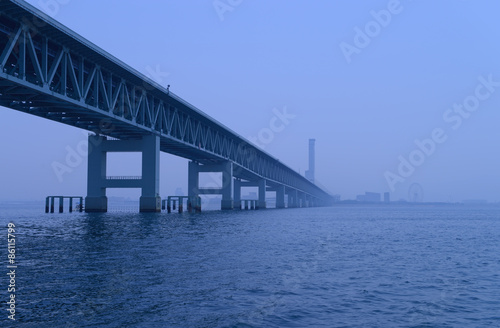 霧に霞む連絡橋 © uefarm