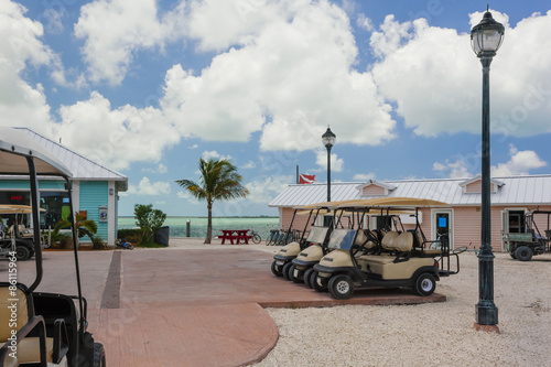 Slika na platnu Image of golf carts near some light posts.