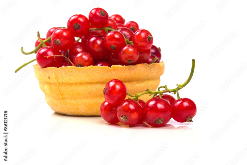 tartlet full of ripe red currants with a little sprig tartlet full of ripe red currants with a little sprig