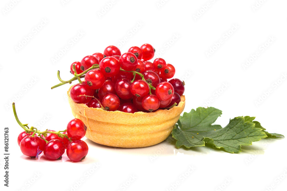 Tartlets with ripe red currant and green leaf Tartlets with ripe red currant and green leaf
