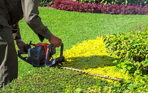 A man trimming shrub with Hedge Trimmer, Closeup