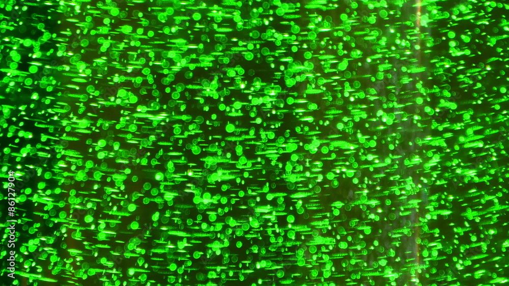Green lights from a lighting effect. Looks like some leaves on a plant but actually its a light effects Green lights from a lighting effect. Looks like some leaves on a plant but actually its a light effects