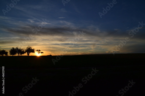 Coucher de soleil sur les champs et arbres