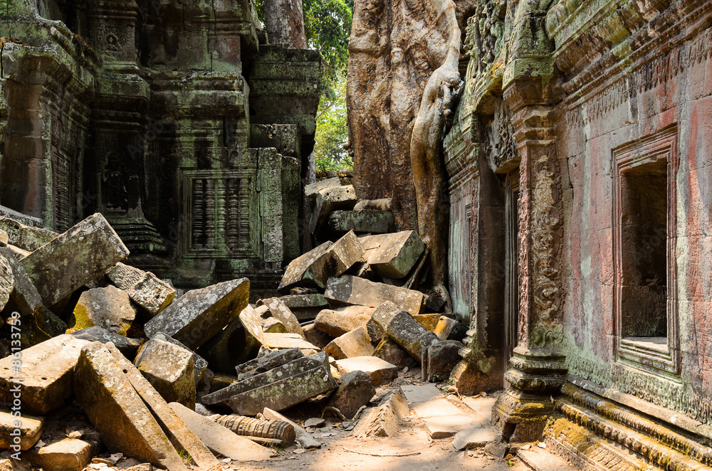 Ta Prohm Ta Prohm