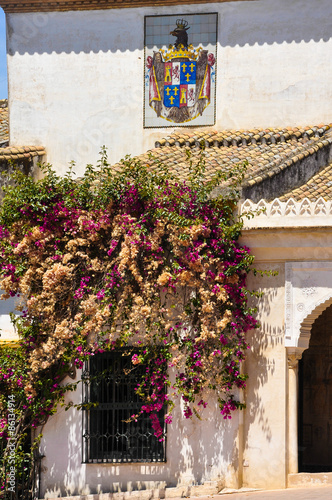 Flores y her  ldica en la Casa de Pilatos  Sevilla  Espa  a  Andaluc  a
