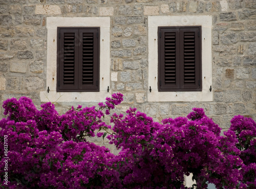 Closed windows surrounded by flowers