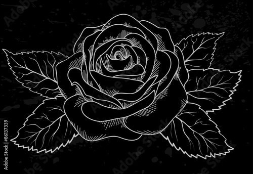 beautiful white rose outline with gray spots on a black background
