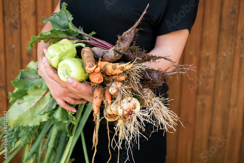 Fresh vegetables photo