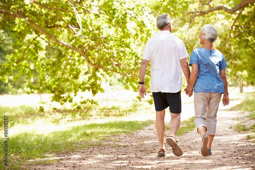 Senior couple walking together in the countryside, back view photo